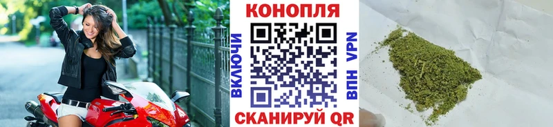 Бошки марихуана марихуана  купить   Новоалтайск 